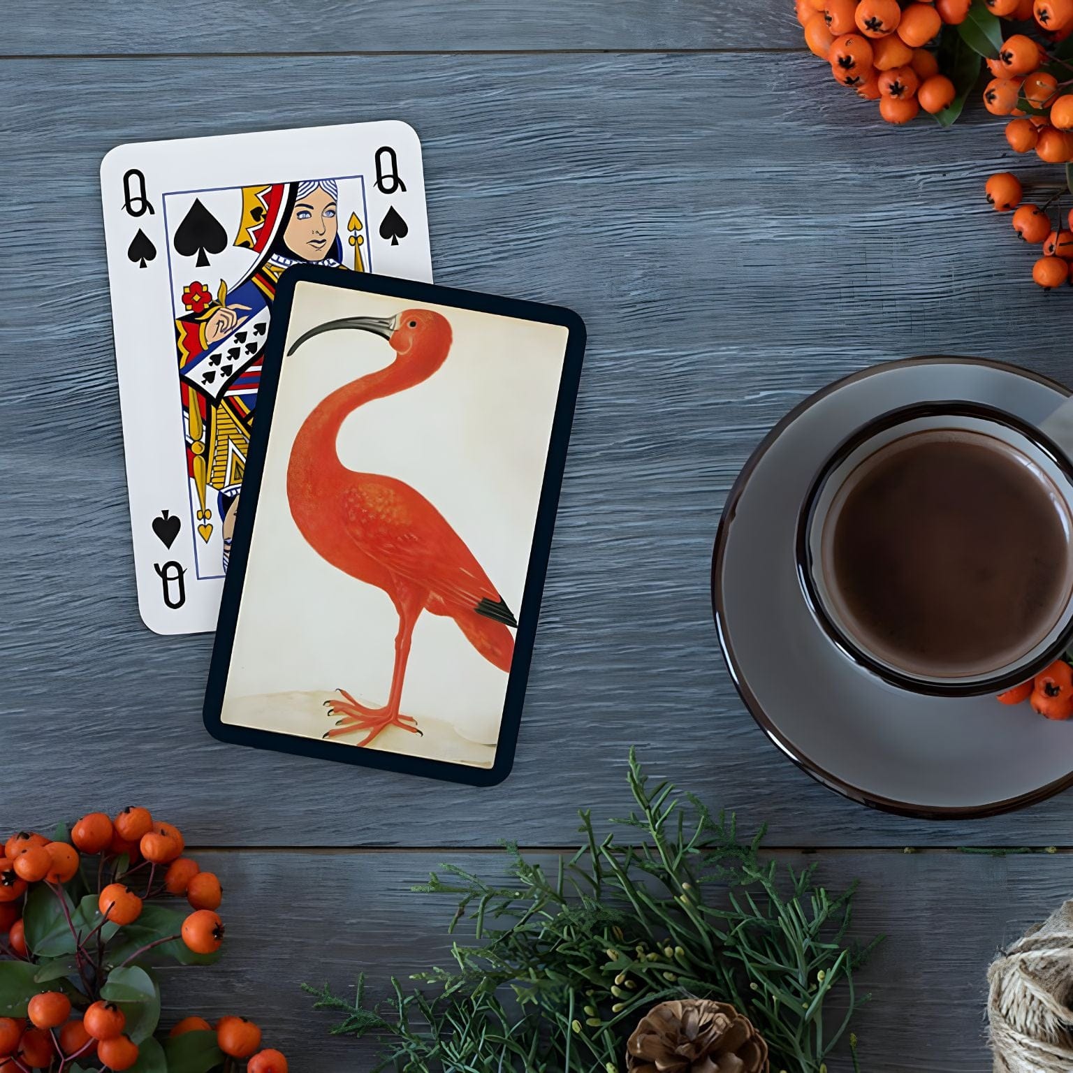 Baralho de Cartas Duplo Ibis da Piatnik com ilustração artística de ave e cartas infantis coloridas