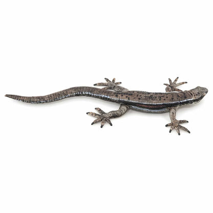 Figura de caucho lagarto común en vista frontal