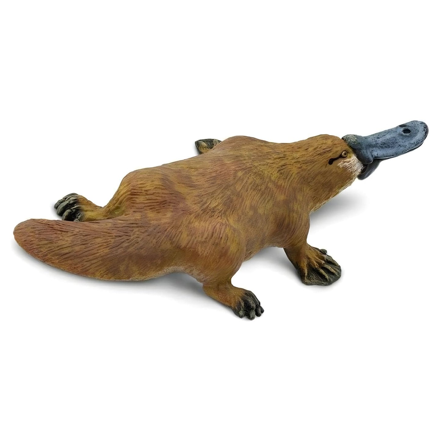 Figura de borracha Ornitorrinco em detalhe