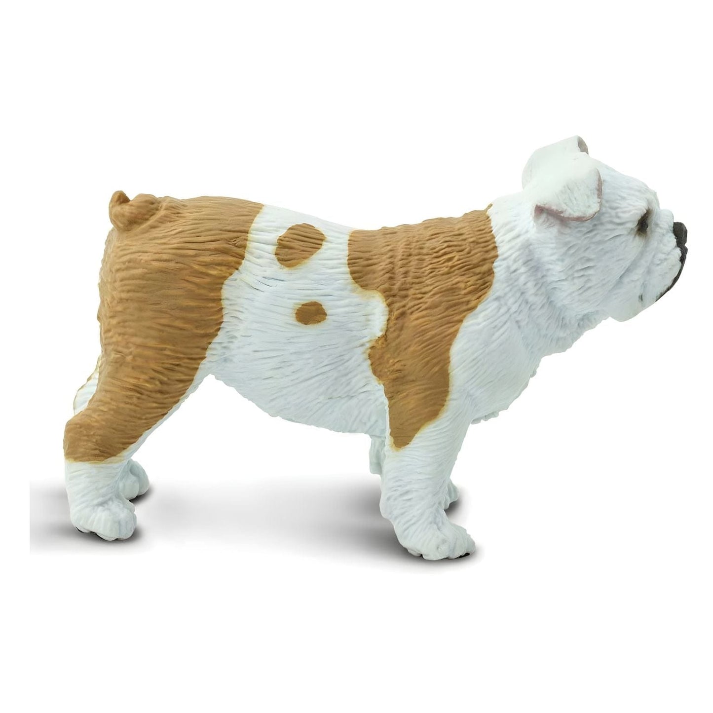 Figura de borracha Buldogue com vista adicional
