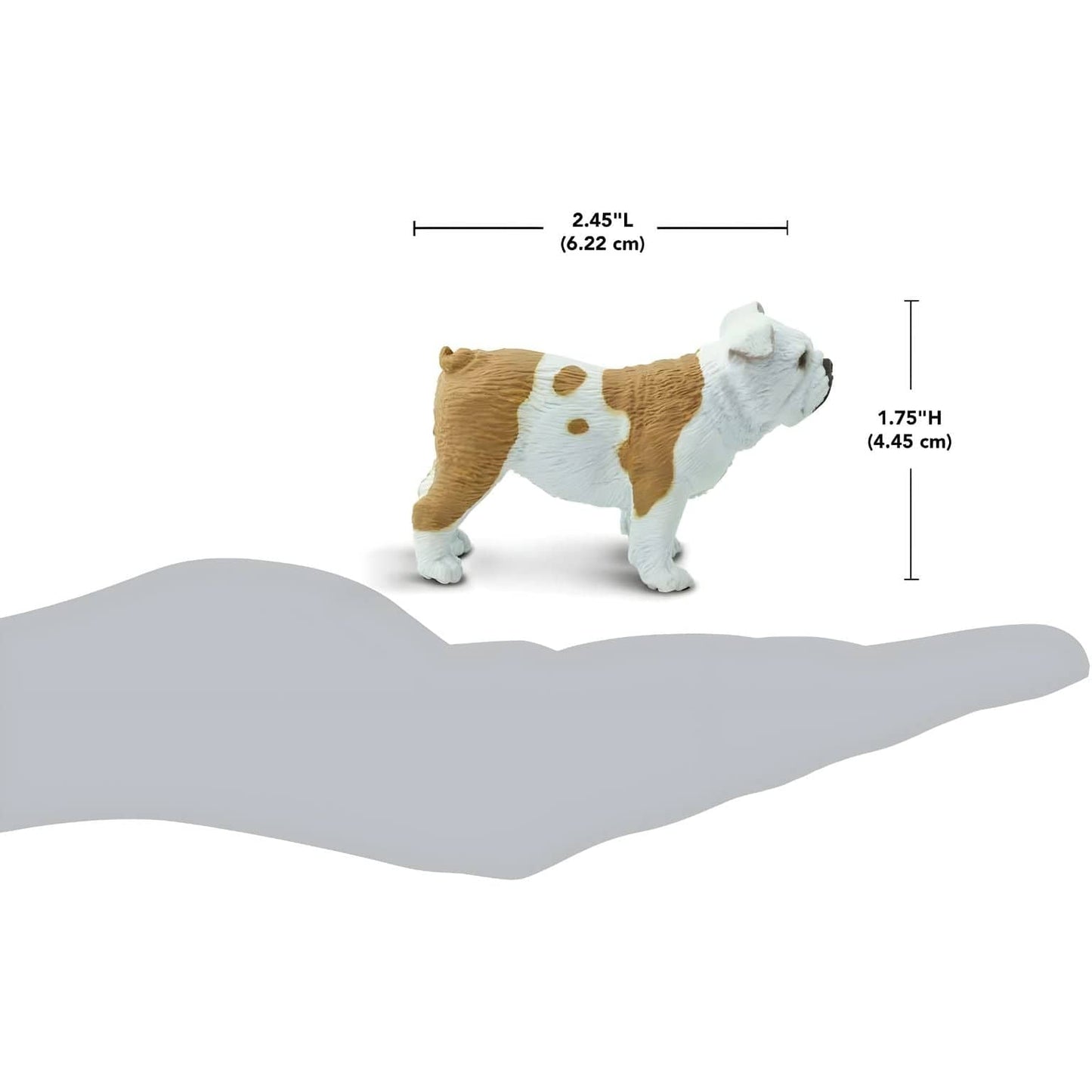 Figura de borracha Buldogue com imagem complementar