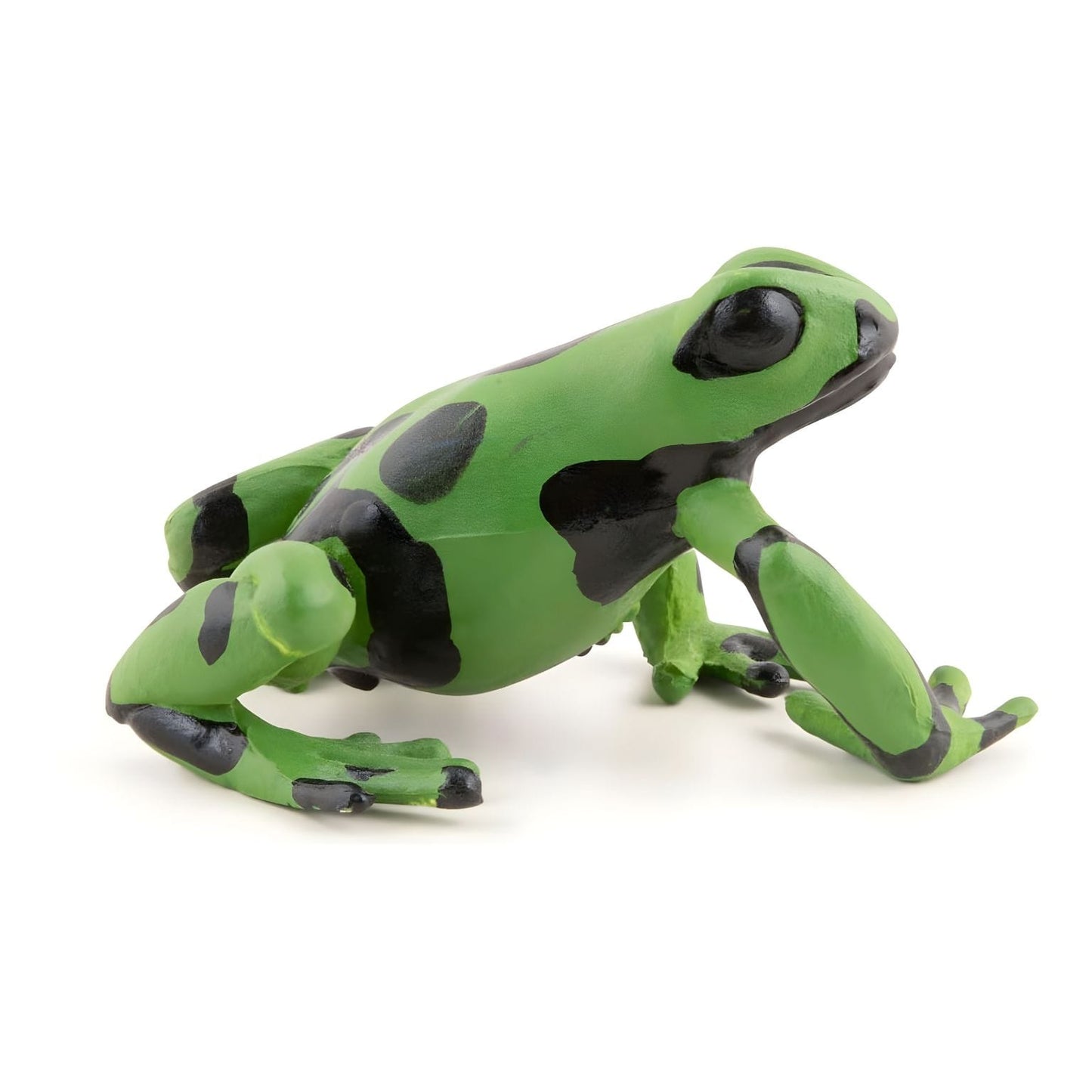 Figura de borracha rã-verde equatorial em vista lateral