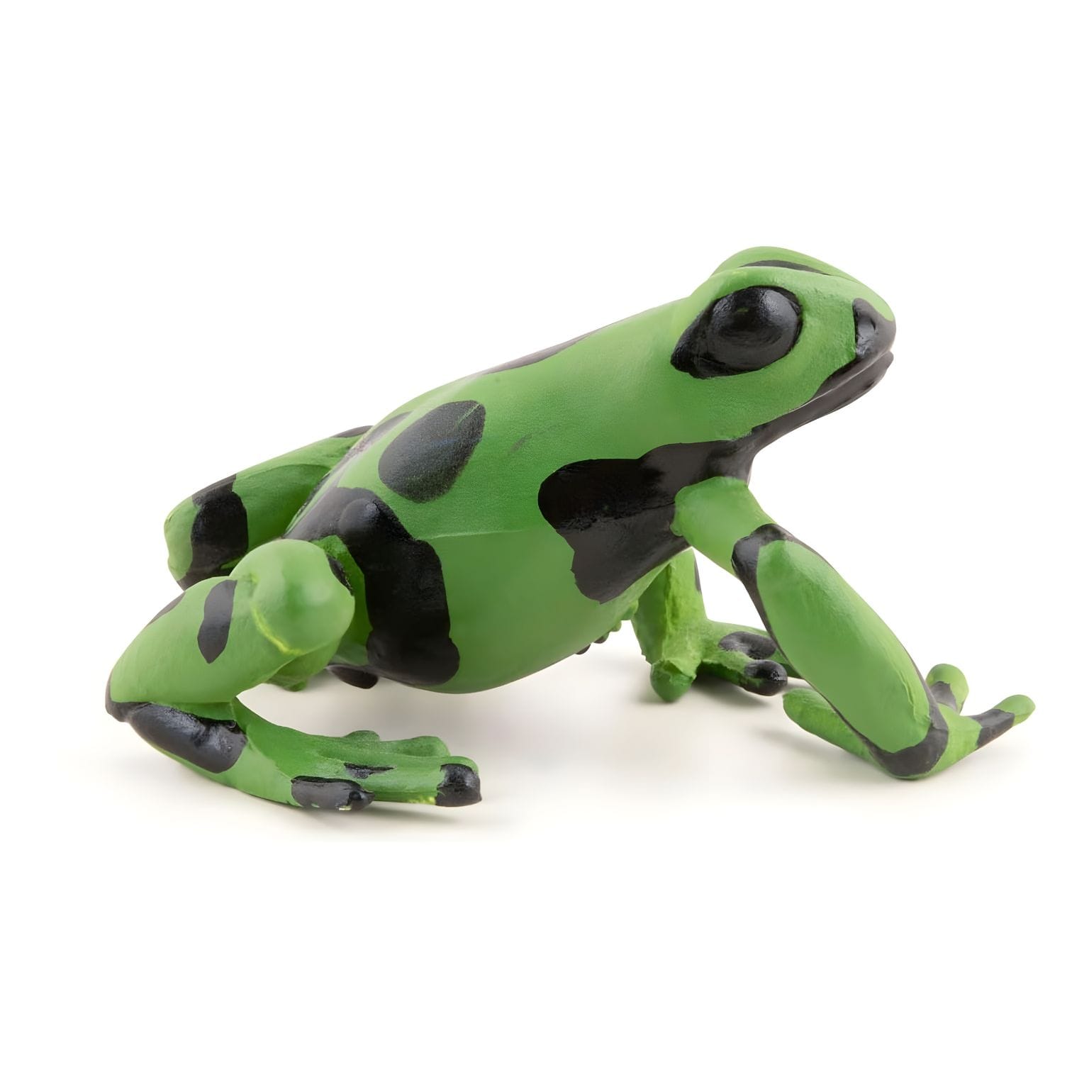 Figura de borracha rã-verde equatorial em vista lateral