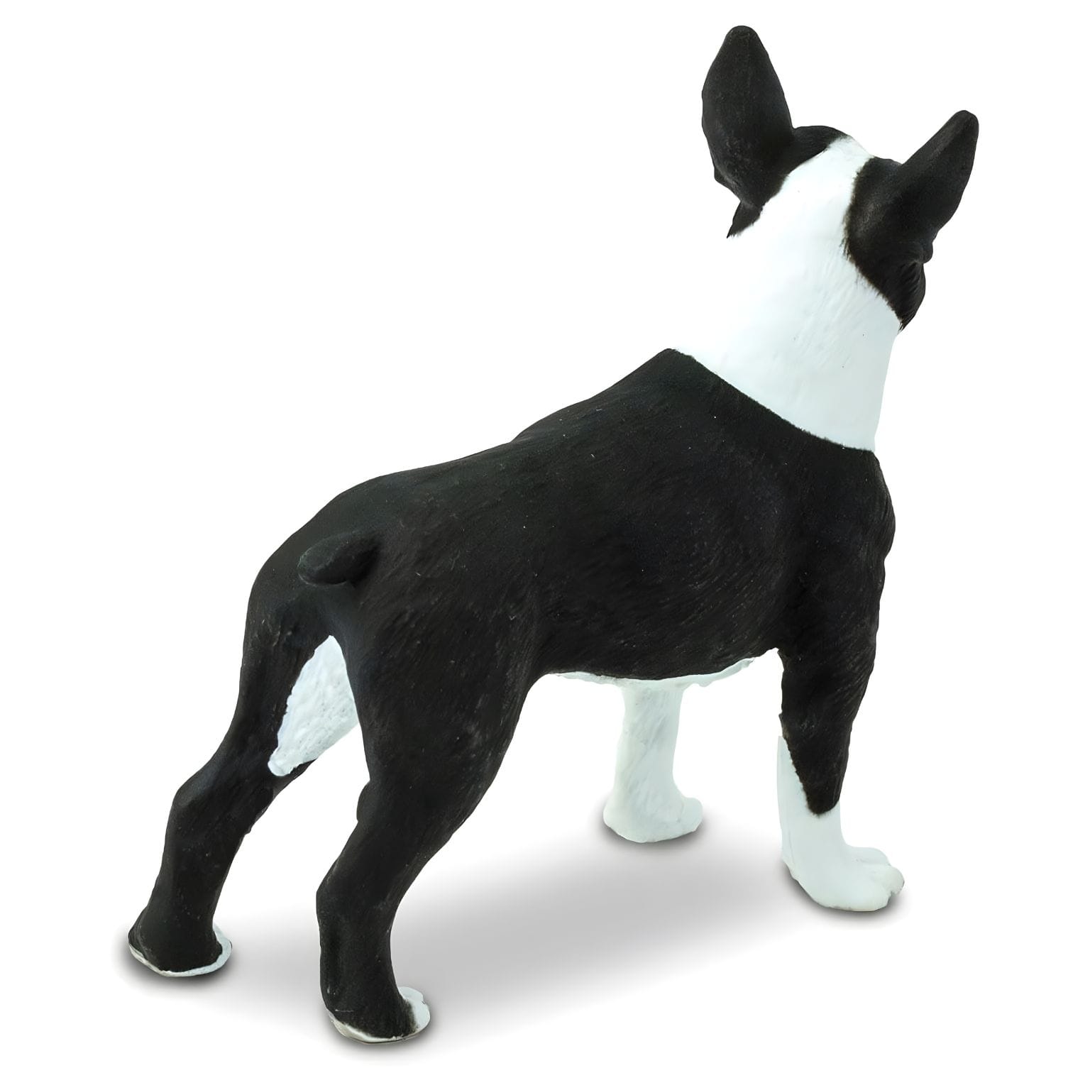 Detalhe da figura de borracha Boston Terrier