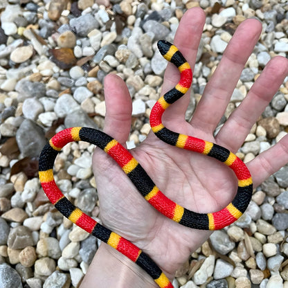 Figura de goma Cría de serpiente coral en otra perspectiva