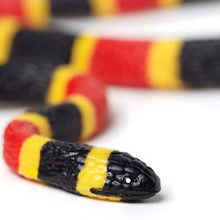 Figura de borracha Cria de cobra coral em detalhe