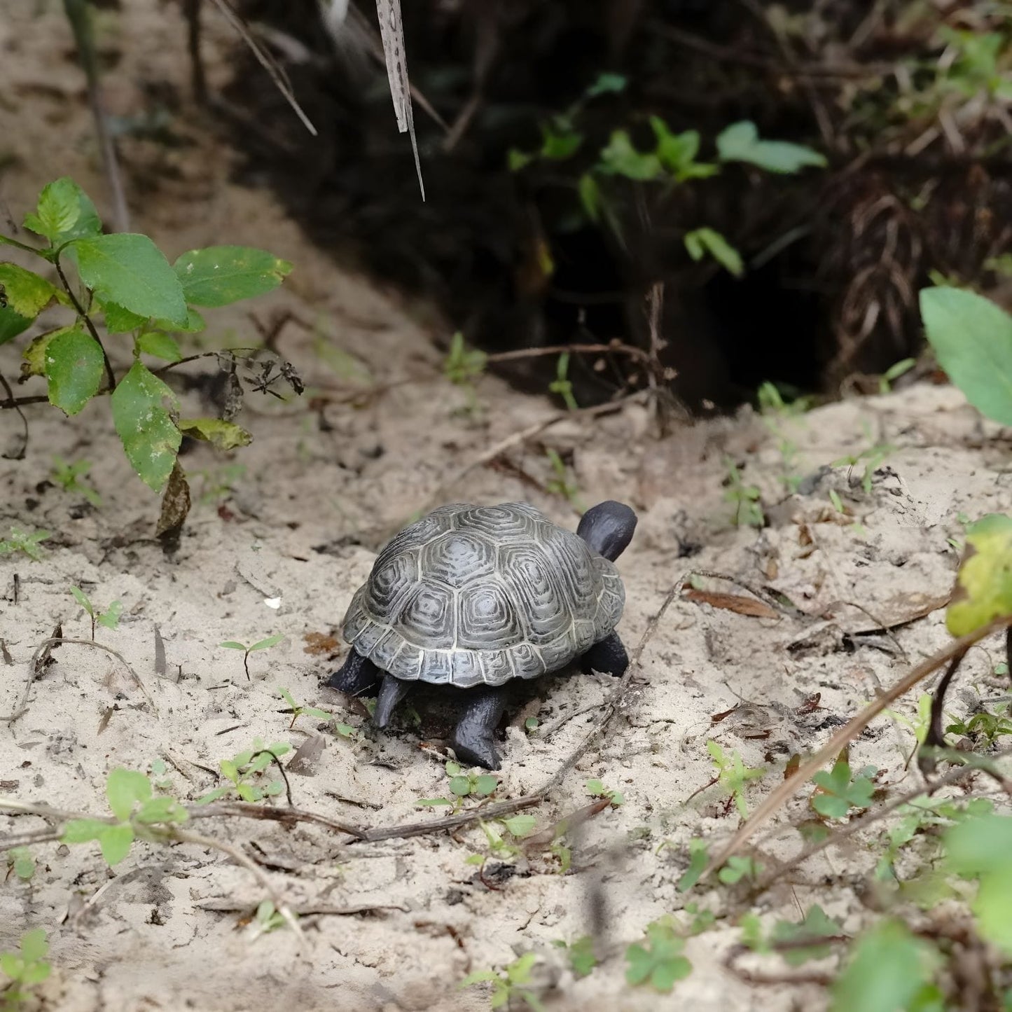 Figura de borracha cria de tartaruga das Galápagos para coleções de animais