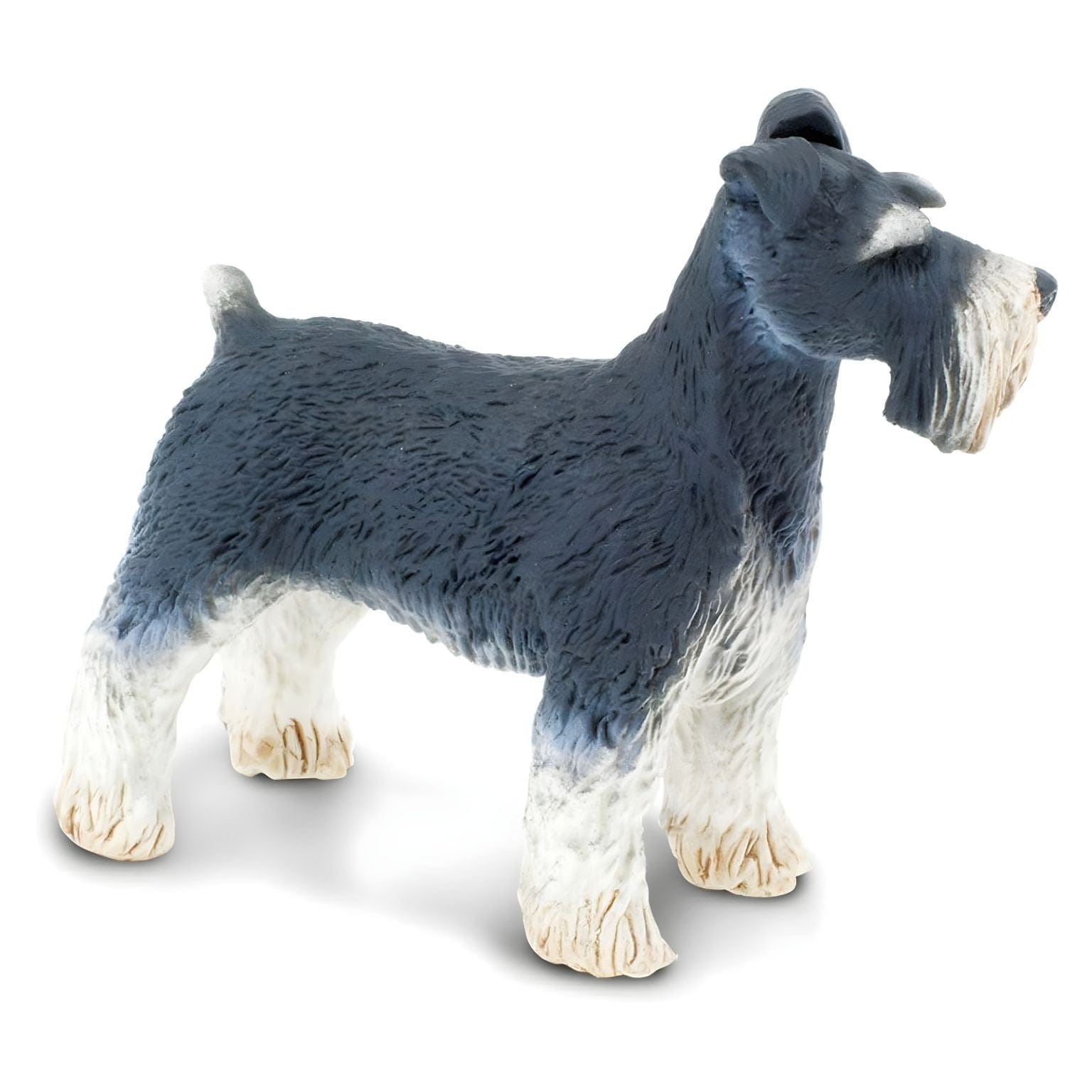 Detalhe da figura de borracha Schnauzer