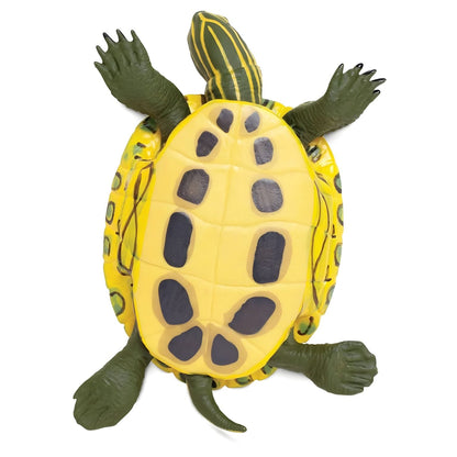 Figura de juguete Tortuga de orejas rojas