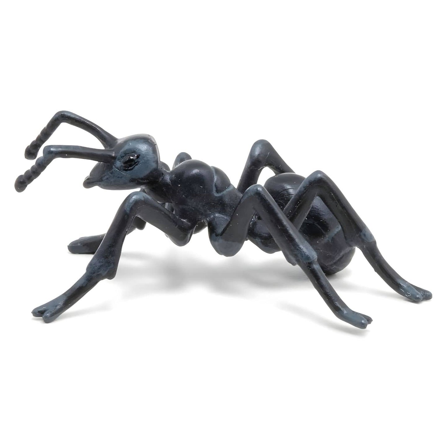 Figura de borracha formiga em vista principal