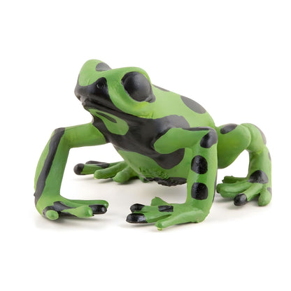 Figura de goma de rana verde ecuatorial en vista principal