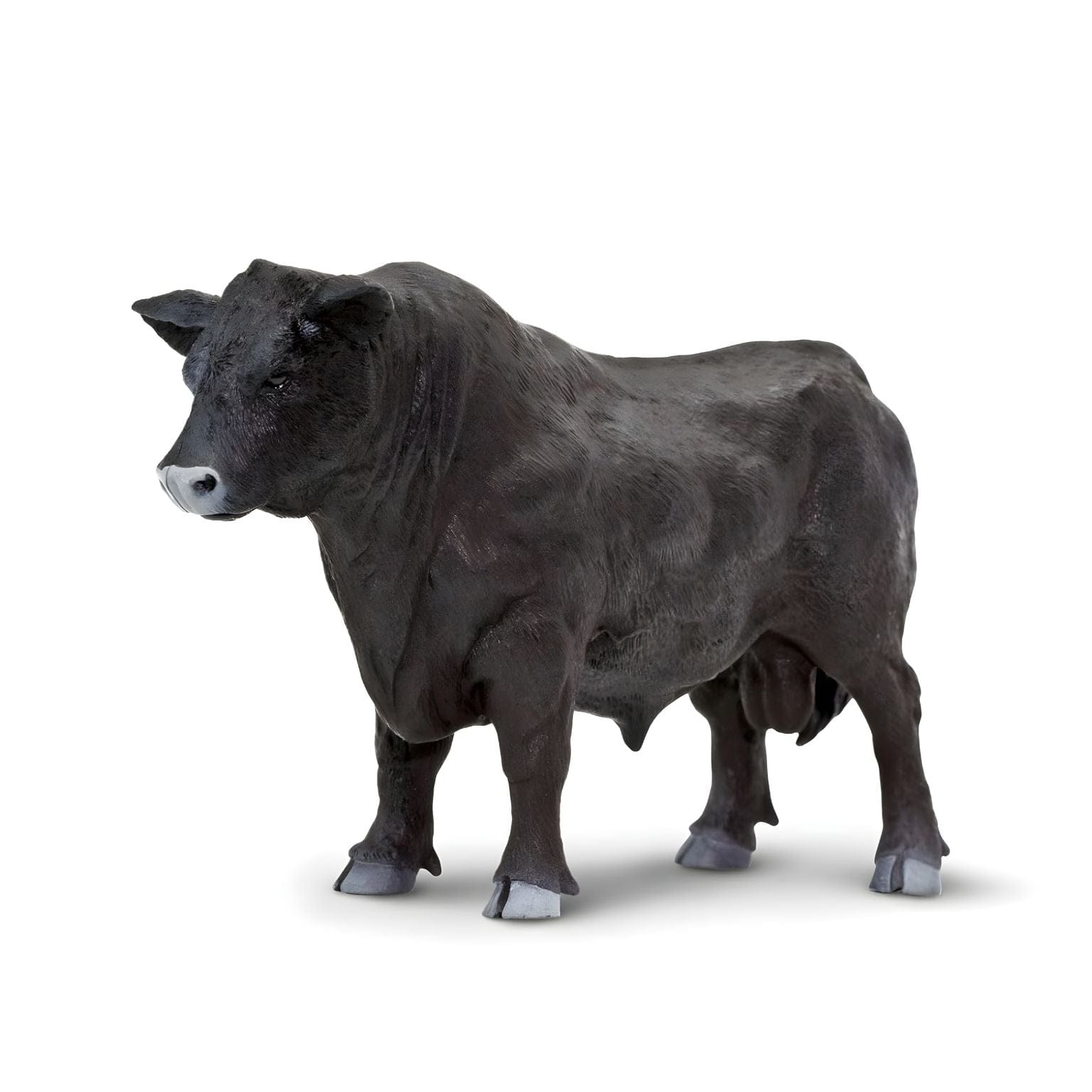 Figura de borracha Touro Angus em destaque