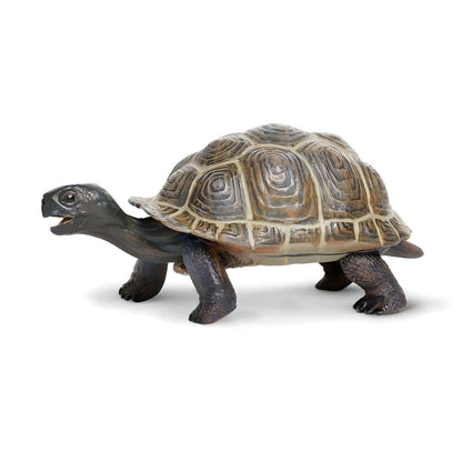 Figura de goma cría de tortuga de las Galápagos para colecciones de animales