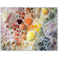Puzzle Rainbow Seashells 2000 pçs