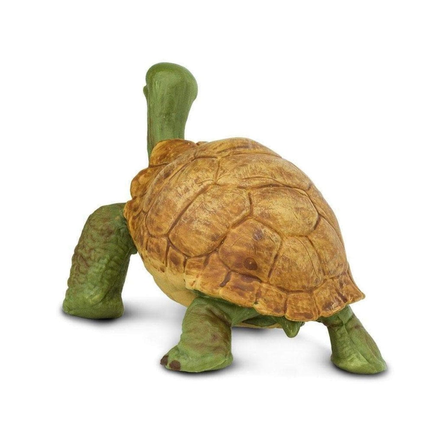 Figura de borracha Tartaruga-gigante em outra perspetiva
