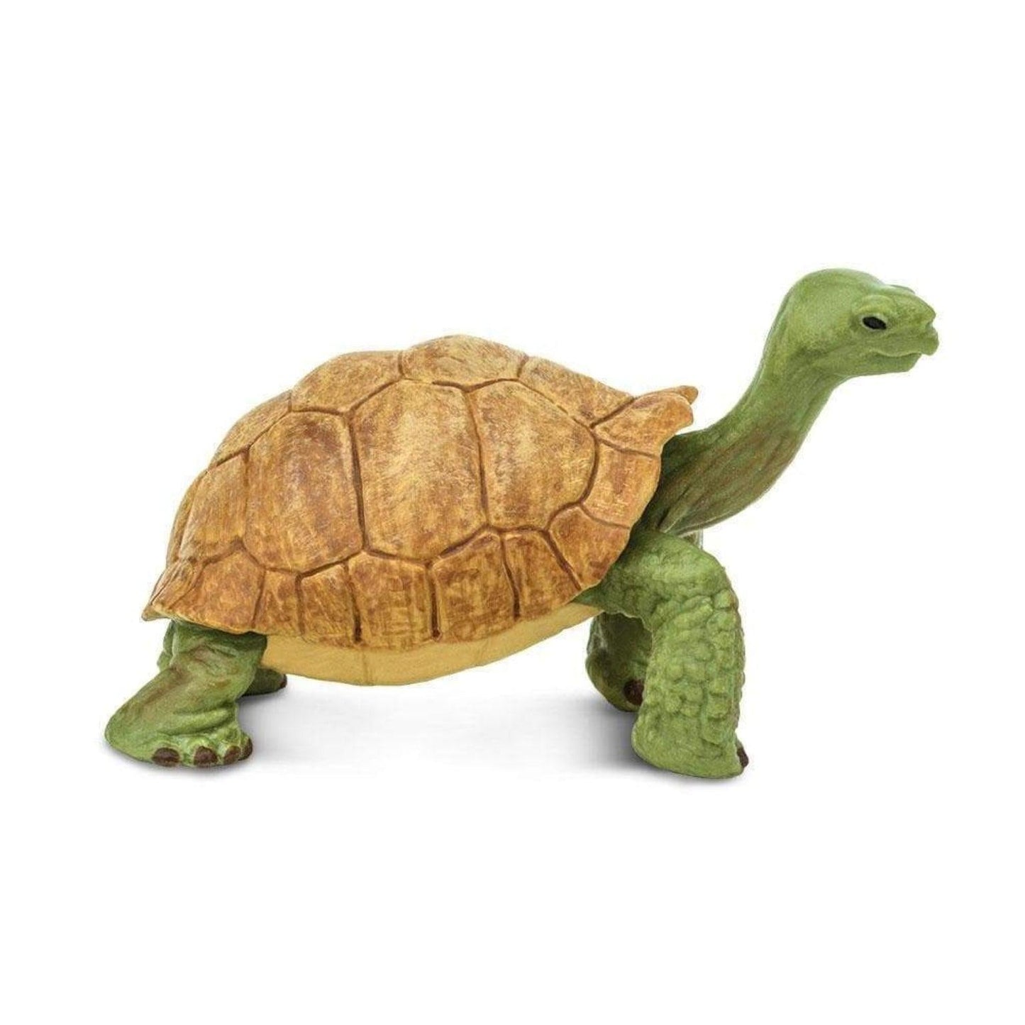 Figura de borracha Tartaruga-gigante em detalhe
