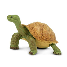 Figura de borracha Tartaruga-gigante