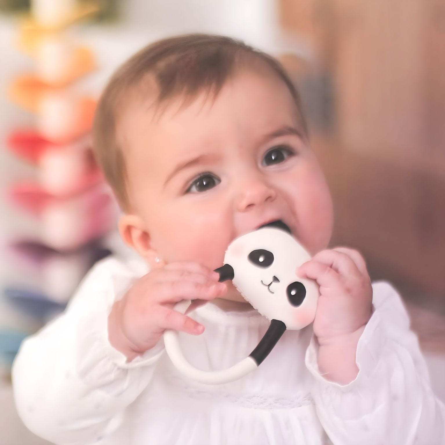 Apresentamos Mordedor Urso Panda com o SKU 129041924 recomendado para + 0 meses