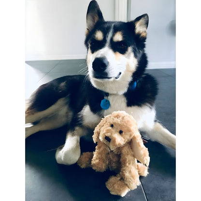 Presentamos Perro de peluche de 25 cm con el SKU 520415924 recomendado para + 6 meses