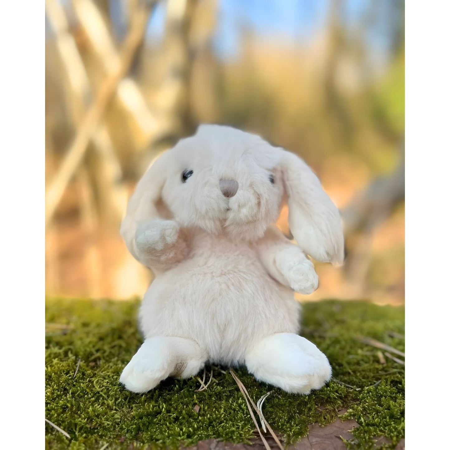 Apresentamos Coelho de Peluche rosa claro 15 cm com o SKU 527922925 recomendado para + 6 meses