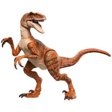 Apresentamos Jurassic World Hammond Collection: Velociraptor com o SKU 232849925 recomendado para + 8 anos
