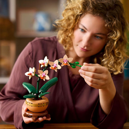Presentamos Lego Botanicals - Orquídea en Miniatura con el SKU 661034325 recomendado para + 14 años