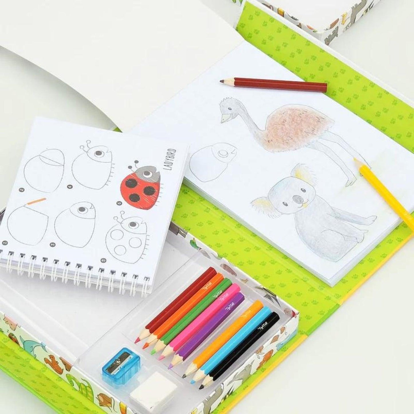 Apresentamos Como desenhar o Reino Selvagem com o SKU 836022721 recomendado para + 5 anos