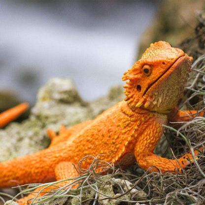 Presentamos Figura de goma – Dragón Barbudo con SKU 436312925 recomendado para + 3 años
