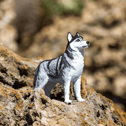 Presentamos Figura de goma - Husky Siberiano con el SKU 435522923 recomendado para + 3 años