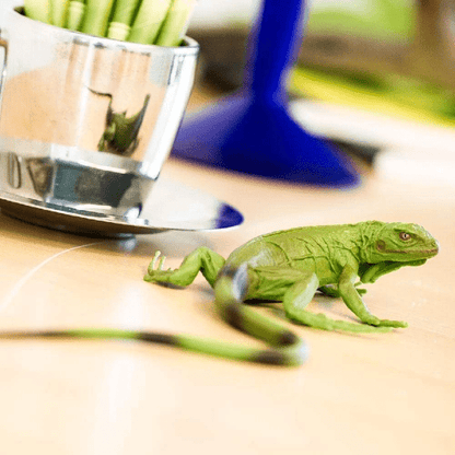 Presentamos Figura de goma - Iguana bebé con el SKU 435832923 recomendado para + 3 años