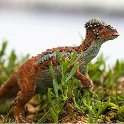 Presentamos Figura de goma - Paquicefalosaurio con el SKU 430035021 recomendado para + 3 años