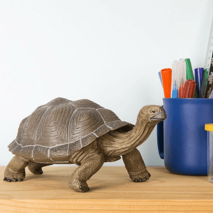 Presentamos Figura de goma - Tortuga Gigante de Galápagos con el SKU 432607223 recomendado para + 3 años